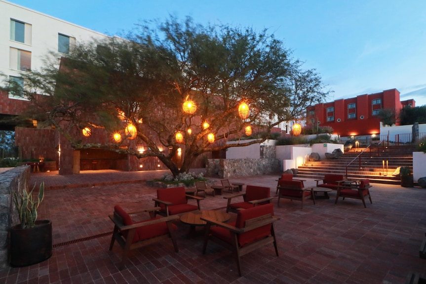 Albor San Miguel de Allende, Tapestry Collection by Hilton