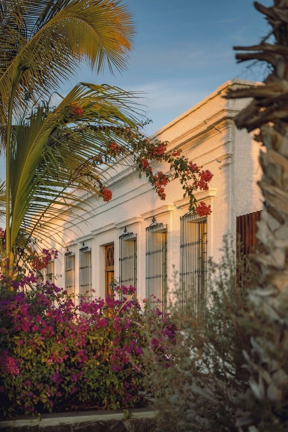 Baja Club Hotel — foto 5