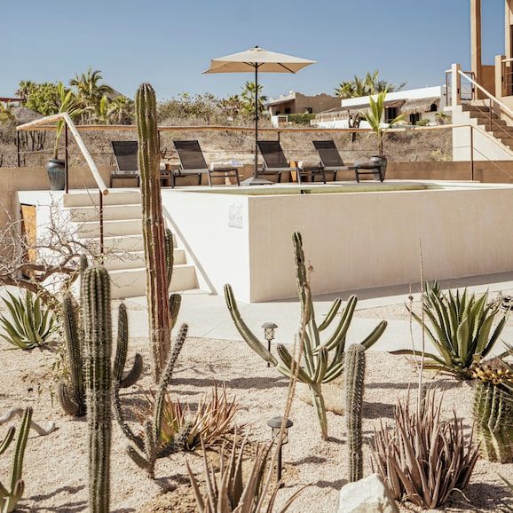 Baja Temple