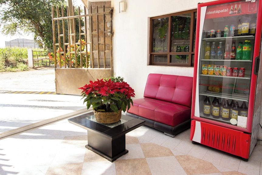Capital O Hotel Partidor Del Sol, Oaxtepec