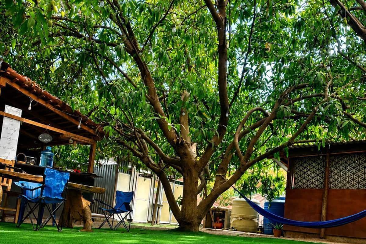 Casa Mahue
