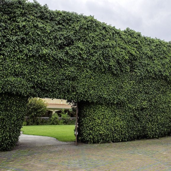 Casa Richer