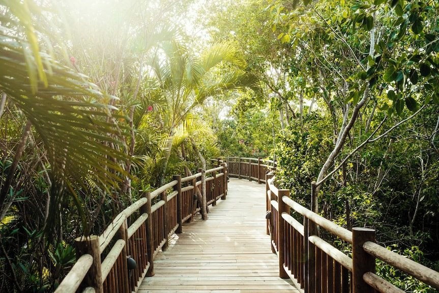 Grand Ocean Breeze Riviera Maya