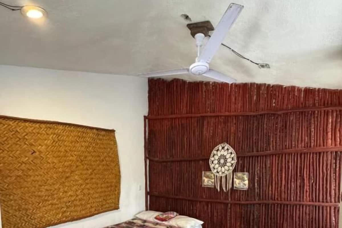 Hostal & Camping El Árbol de la Vida
