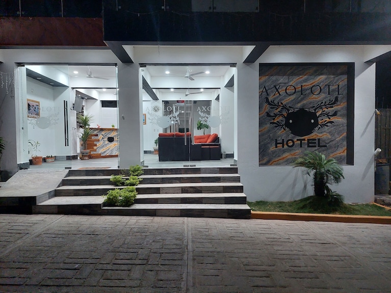 Hotel Axolotl
