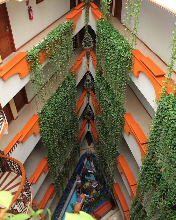 Hotel Báez Carrizal