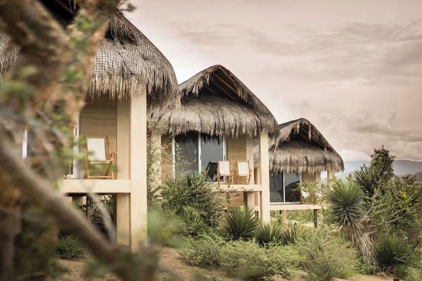 Hotel Cabanas uno