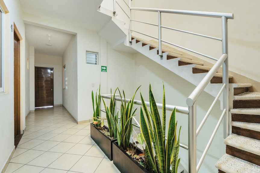 HOTEL CASA PALMARES