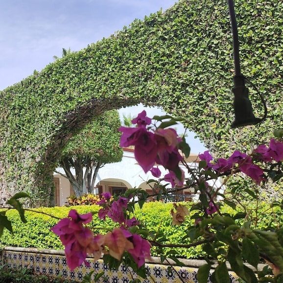 Hotel Ex Hacienda Santa Cecilia