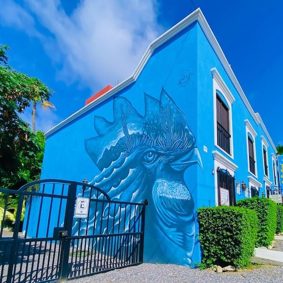 Hotel Gallo Azul Downtown