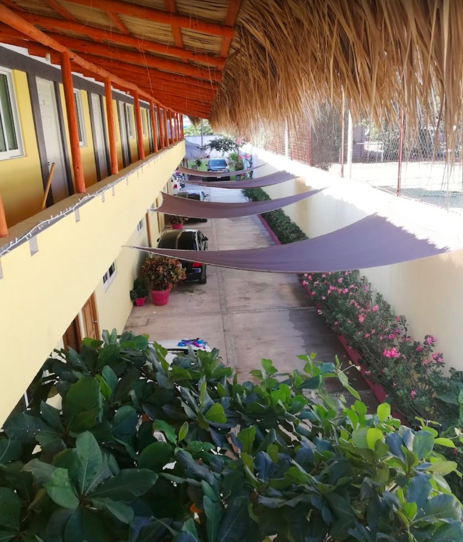 Hotel Margo — foto 4