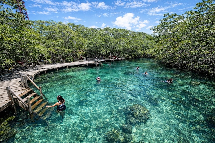 Hotel Selva y Mar