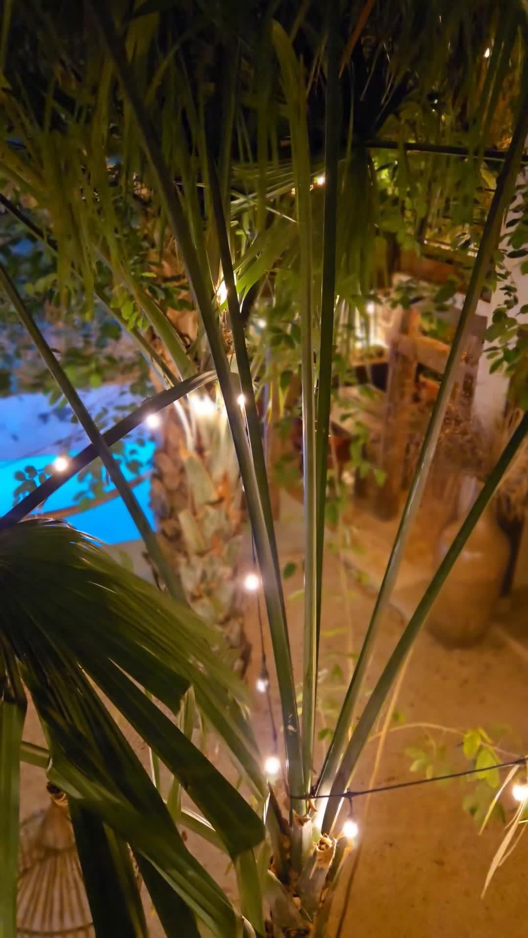 Japoneza Retreat Centro - Adults Only