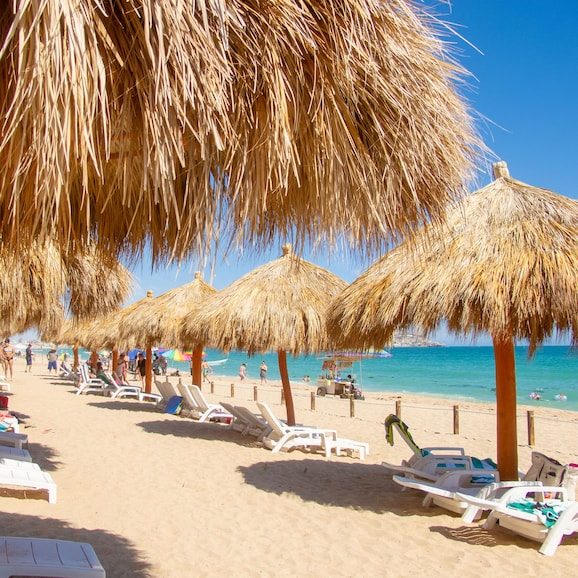 Las Palomas Beach & Golf Resort