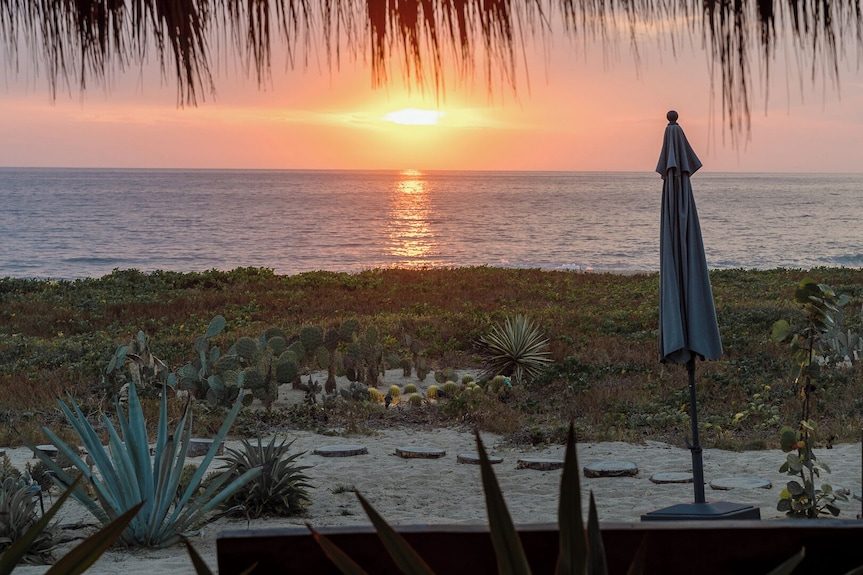Lú Veé Oasis — foto 1