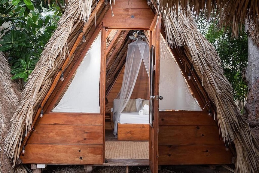 Mapache Hostel
