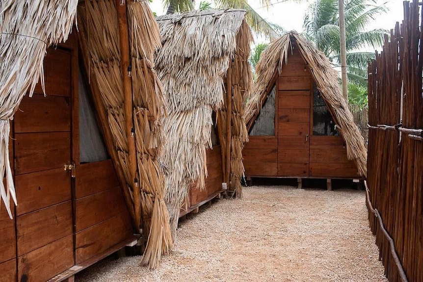 Mapache Hostel