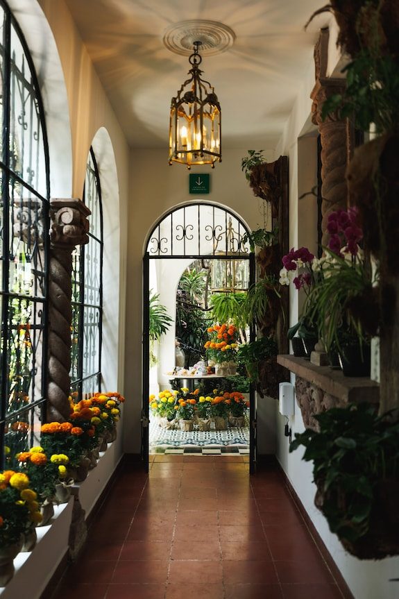 Orchid House Mexico City