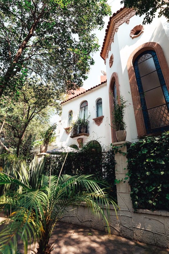 Orchid House Mexico City