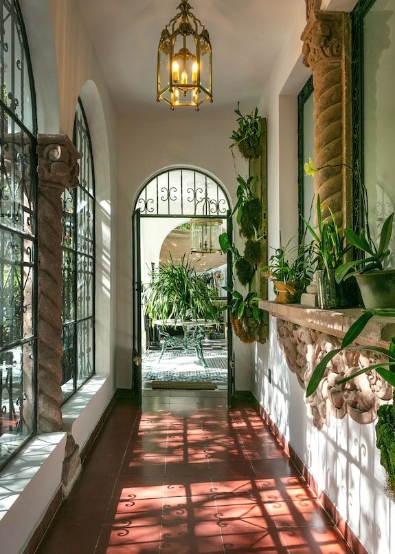 Orchid House Mexico City