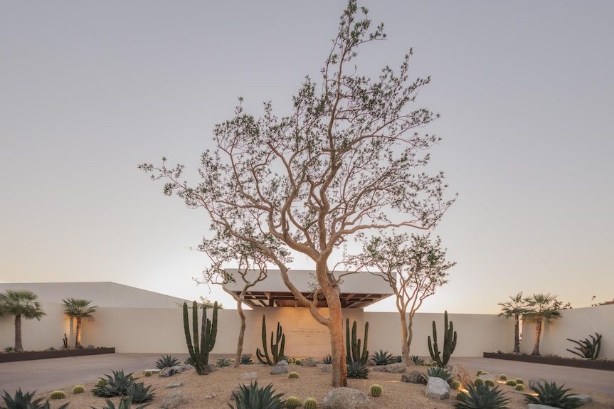 Park Hyatt Cabo Del Sol