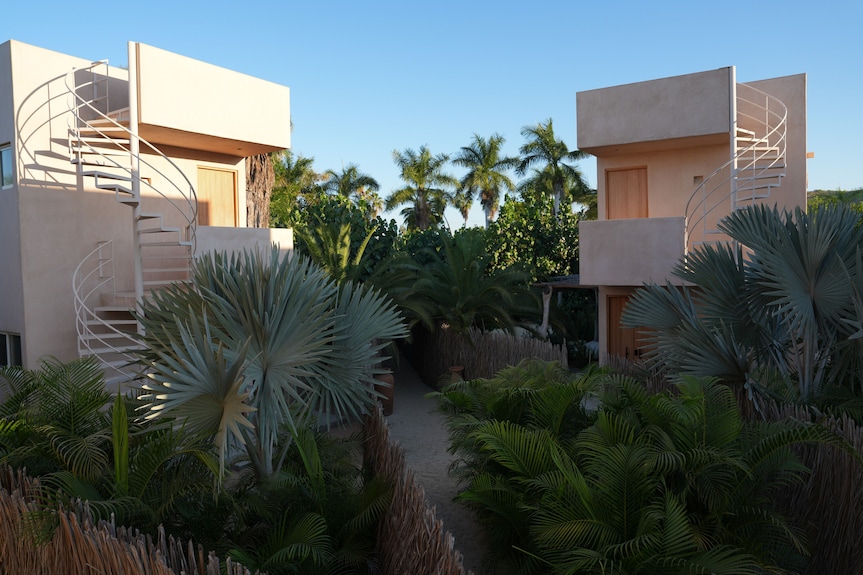 Proyecto Palmita