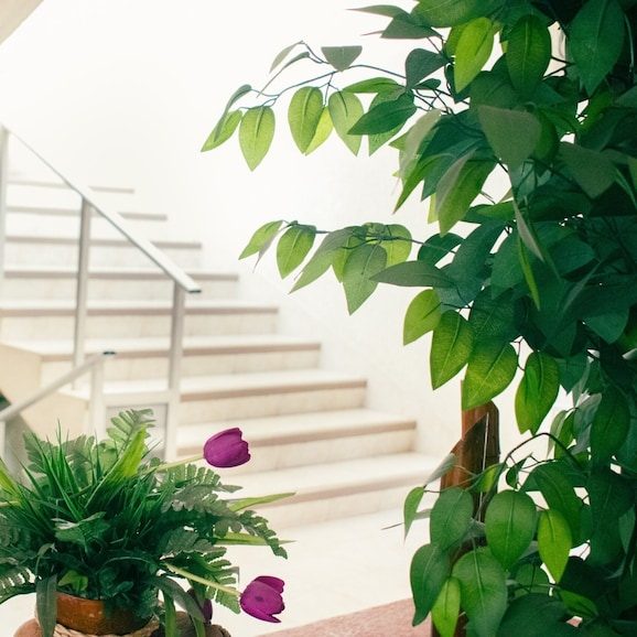 Suites del Sol