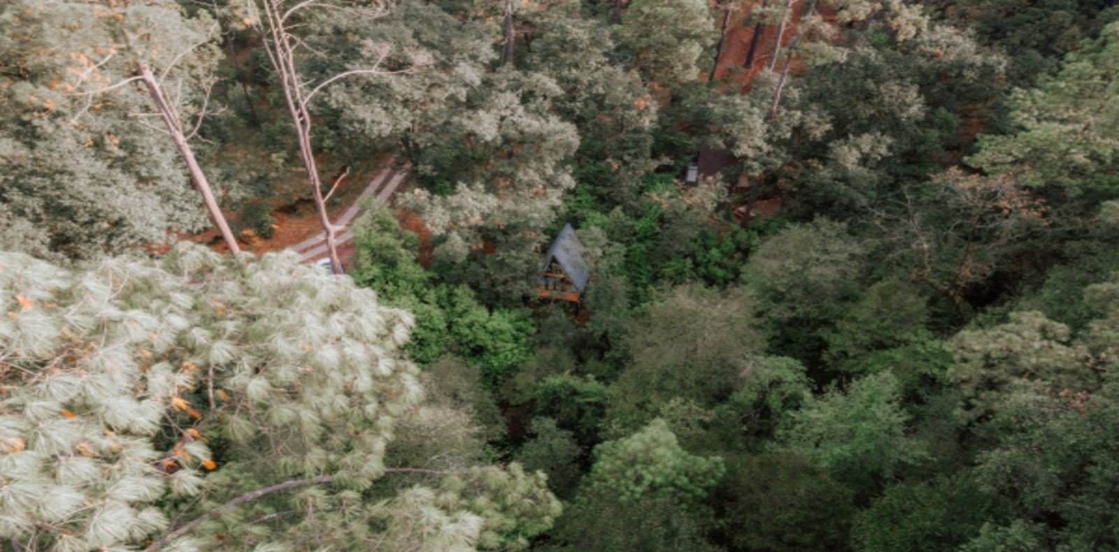 Wander Cabins Valle de Bravo — foto 3
