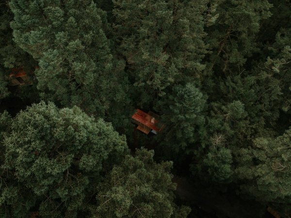 Wander Cabins Villa Alpina — foto 1