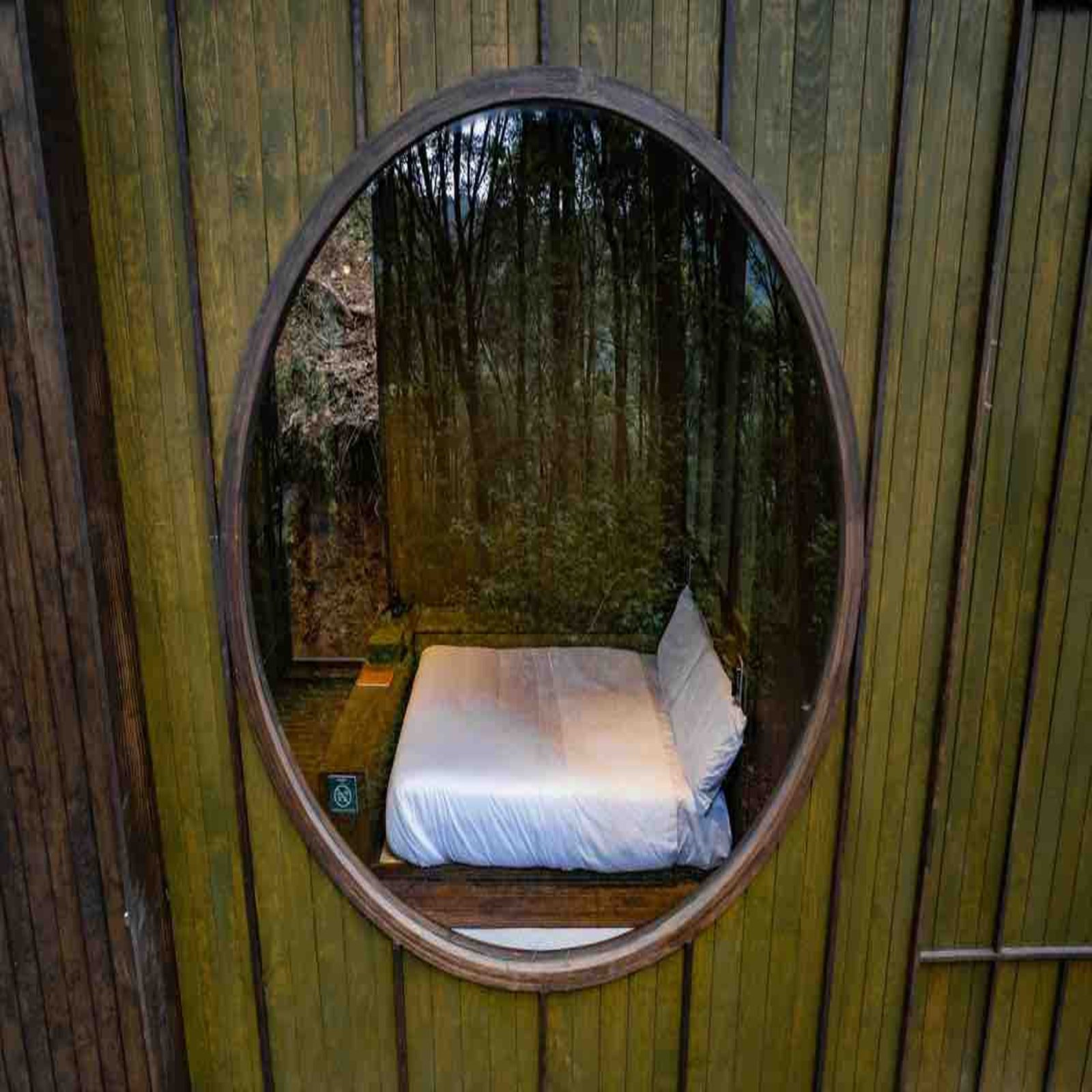 Wander Cabins Villa Alpina — foto 6