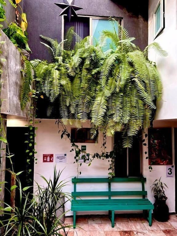 zyan Rooms